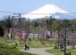 県立茅ヶ崎里山公園 県立茅ヶ崎里山公園